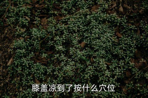 膝蓋穴位，膝蓋疼痛按摩什么穴位呢
