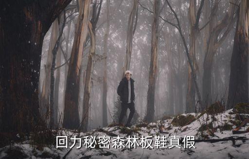 回力logo,辨別真假回力鞋真偽方法:聞不到味道