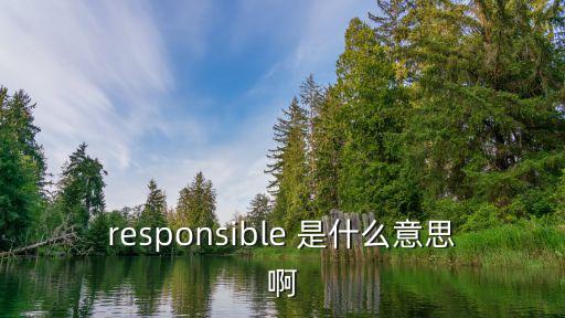 responsible的名詞，responsible 是什么意思