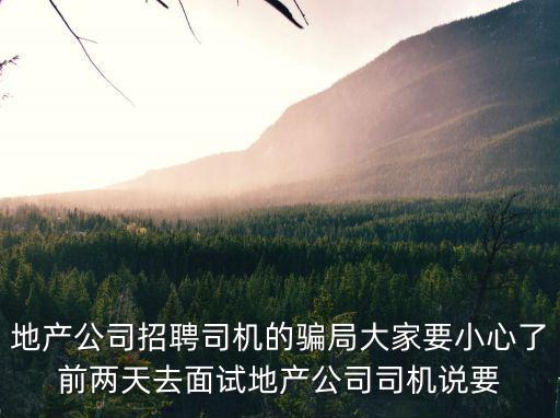 地產(chǎn)公司招聘司機(jī)的騙局大家要小心了前兩天去面試地產(chǎn)公司司機(jī)說要