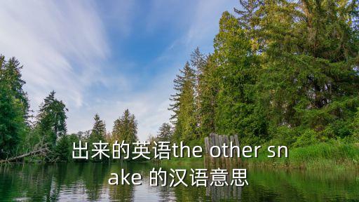 出來的英語the other snake 的漢語意思