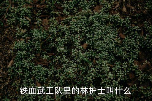 鐵血武工隊(duì)里的林護(hù)士叫什么
