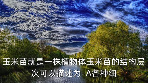 玉米苗就是一株植物體玉米苗的結構層次可以描述為  A各種細