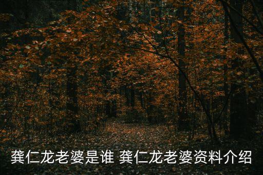 龔仁龍老婆是誰(shuí) 龔仁龍老婆資料介紹