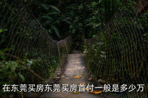 東莞公寓首付比例，東莞買房子首付多少