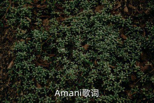 amani歌詞，BEYOND AMANI的歌詞及意思