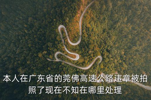 本人在廣東省的莞佛高速公路違章被拍照了現在不知在哪里處理