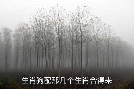 生肖狗配那幾個生肖合得來