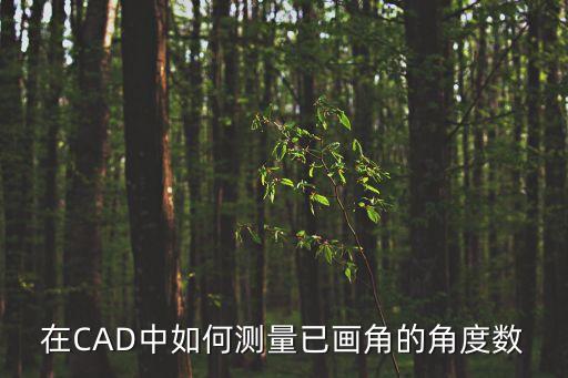 cad測量角度，Autocad中如何測量一個角的角度