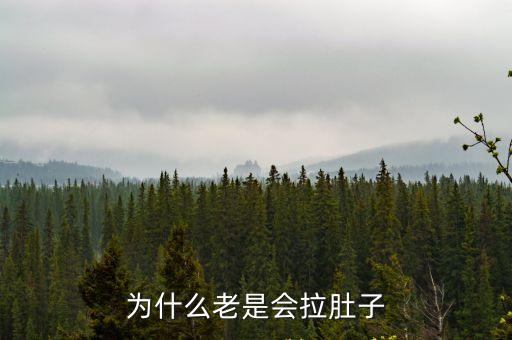 為什么老是會拉肚子