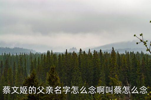 蔡文姬父親，蔡文姬的父親名字怎么念啊叫蔡怎么念