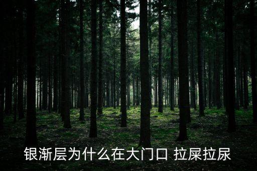 銀漸層為什么在大門口 拉屎拉尿