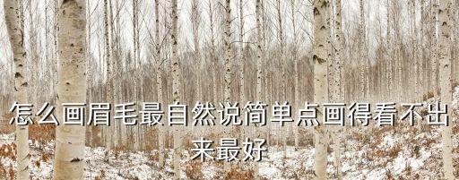 怎么畫眉毛最自然說(shuō)簡(jiǎn)單點(diǎn)畫得看不出來(lái)最好
