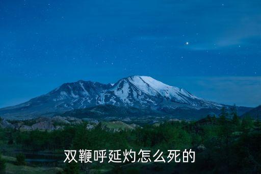 雙鞭呼延灼，梁山水滸108將中雙鞭呼延灼排第幾