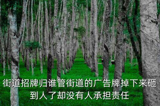 街道招牌歸誰管街道的廣告牌掉下來砸到人了卻沒有人承擔(dān)責(zé)任