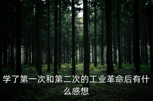 學了第一次和第二次的工業(yè)革命后有什么感想