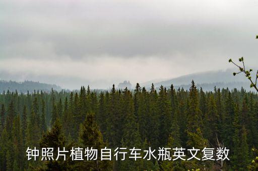 水瓶的英文，水瓶座用英文怎么說簡寫