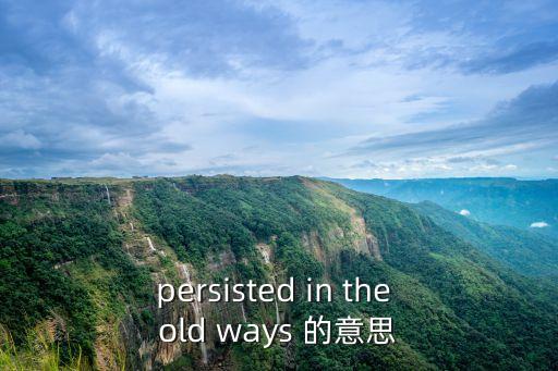 persisted，persisted是什么意思
