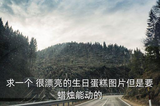 求一個 很漂亮的生日蛋糕圖片但是要蠟燭能動的