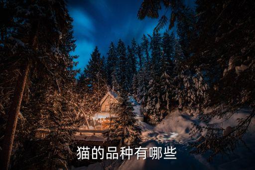 貓的品種有哪些
