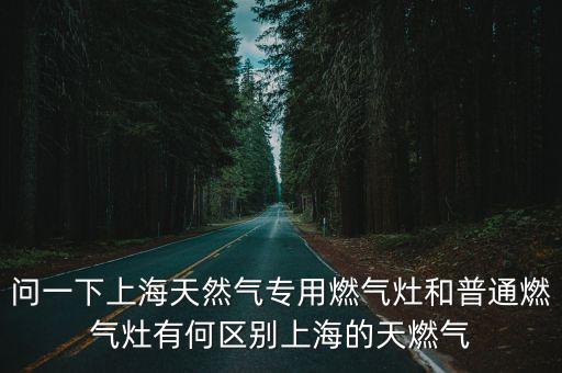 上海市液化氣工業爐具，哪里有液化氣爐具脈沖點火器賣謝謝誒