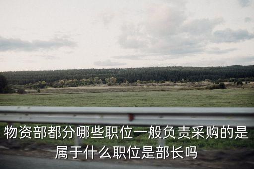 物資部都分哪些職位一般負(fù)責(zé)采購的是屬于什么職位是部長嗎