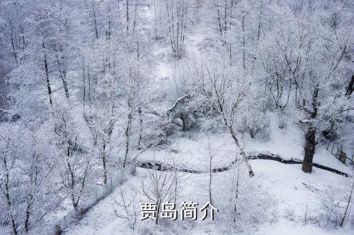 劍客賈島,《長江新派集》收錄賈島四部詩