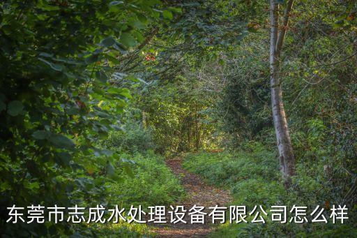 東莞市志成水處理設備有限公司怎么樣