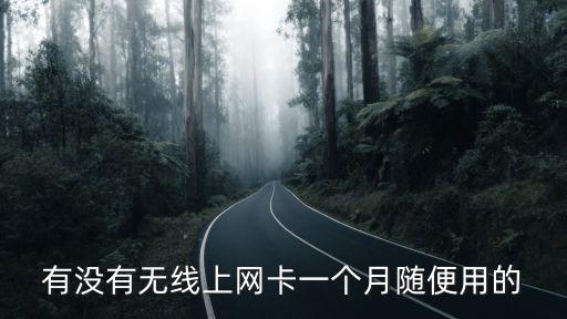 有沒有無線上網(wǎng)卡一個(gè)月隨便用的