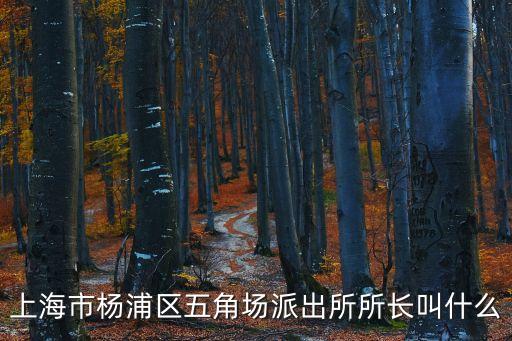 上海市楊浦區五角場派出所所長叫什么