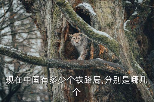 三棵樹機務段,全國18個鐵路局(集團公司)列表