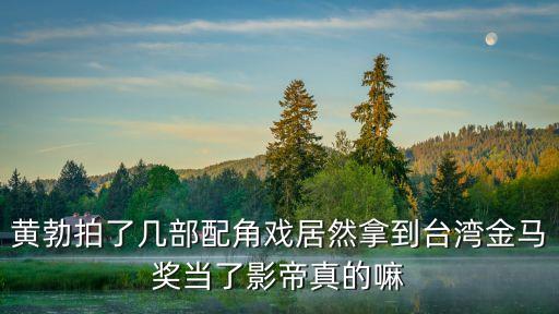 黃渤影帝，黃渤獲影帝的電影叫什么