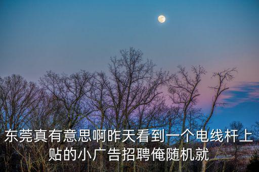 東莞真有意思啊昨天看到一個電線桿上貼的小廣告招聘俺隨機就