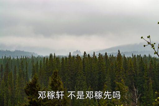 鄧稼軒，鄧稼軒 不是鄧稼先嗎