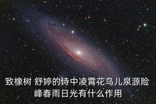凌霄花的寓意象征，凌霄花代表了什么樣的人