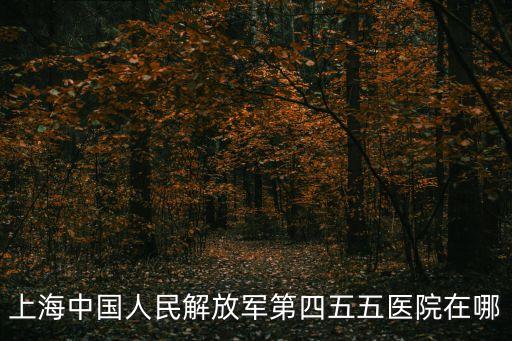 上海中國人民解放軍第四五五醫院在哪