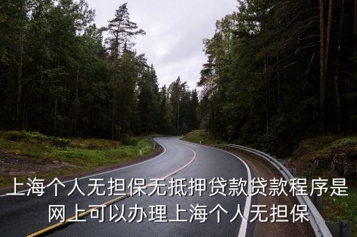 上海市一網通辦網上立項申請，上海地稅如何網上申報