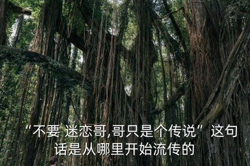 “不要 迷戀哥,哥只是個傳說”這句話是從哪里開始流傳的