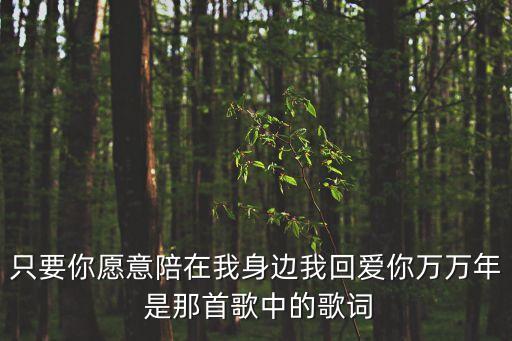 只要你愿意陪在我身邊我回愛你萬萬年 是那首歌中的歌詞