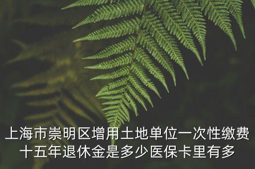 上海市崇明區(qū)醫(yī)保多少錢，上海市社保一個月多少錢