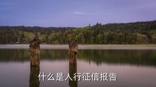 人民銀行征信報告，什么是人行征信報告
