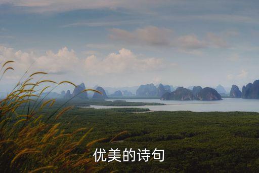 好詩句大全唯美，優(yōu)美的詩句