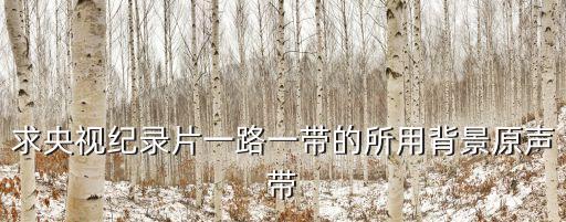 求央視紀錄片一路一帶的所用背景原聲帶