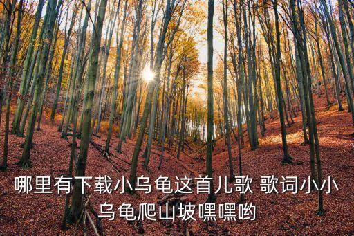 哪里有下載小烏龜這首兒歌 歌詞小小烏龜爬山坡嘿嘿喲