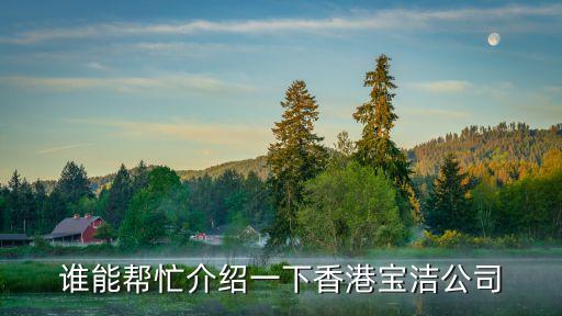 誰能幫忙介紹一下香港寶潔公司