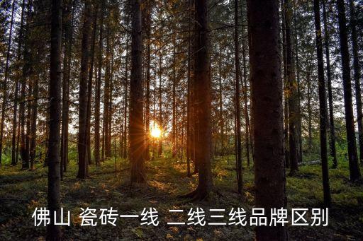 瓷磚二線品牌,瓷磚知多少?問與答（13）