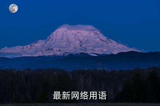網(wǎng)絡(luò)術(shù)語，最新網(wǎng)絡(luò)用語