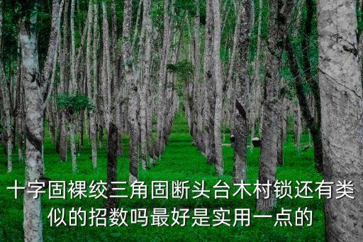 十字固裸絞三角固斷頭臺木村鎖還有類似的招數嗎最好是實用一點的