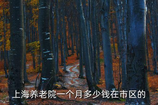上海養老院一個月多少錢在市區的