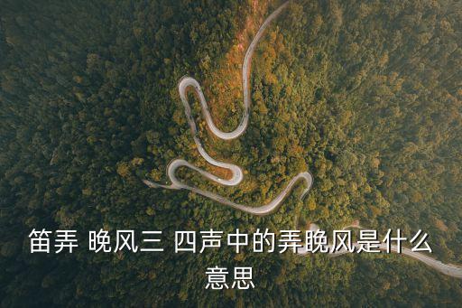 笛弄 晚風(fēng)三 四聲中的弄睌風(fēng)是什么意思
